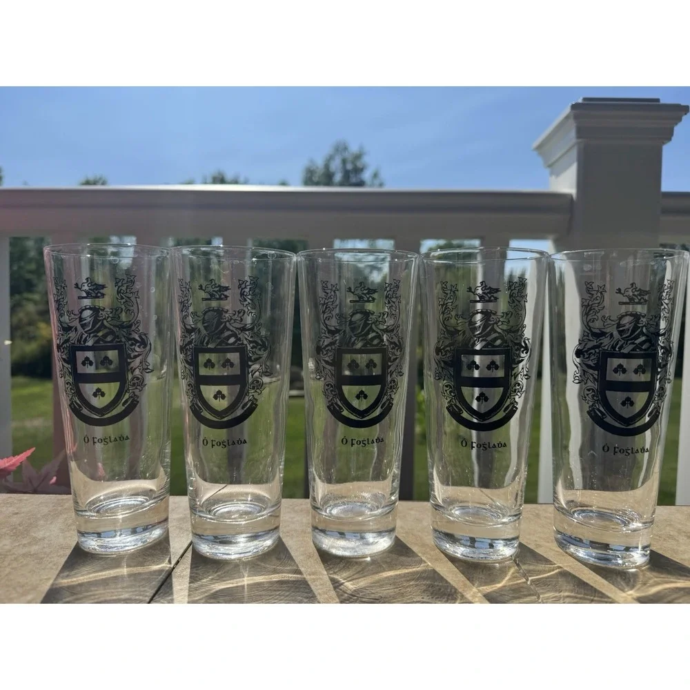 Set of 5 Vintage Irish Coat of Arms Highball Glasses 7